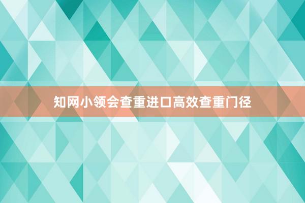 知网小领会查重进口高效查重门径